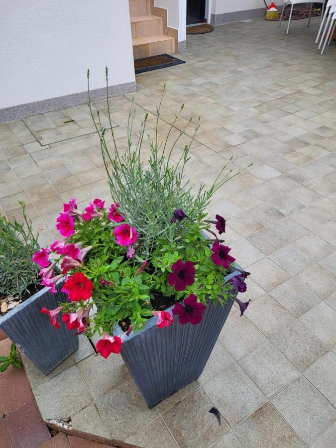 Apartments Kaja باغ المظهر الخارجي الصورة